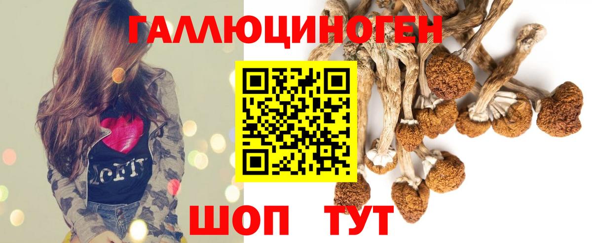 Краснознаменск  Псилоцибиновые грибы мухоморы  Вход с VPN  купить   Псилоцибиновые грибы ЛСД 