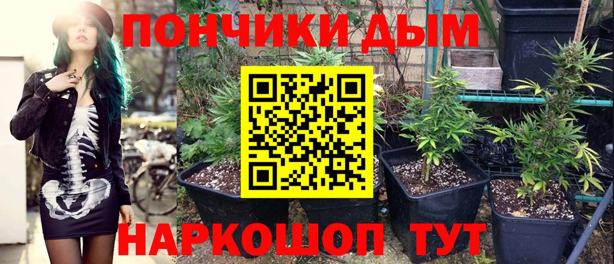 Каннабис Bruce Banner Краснознаменск